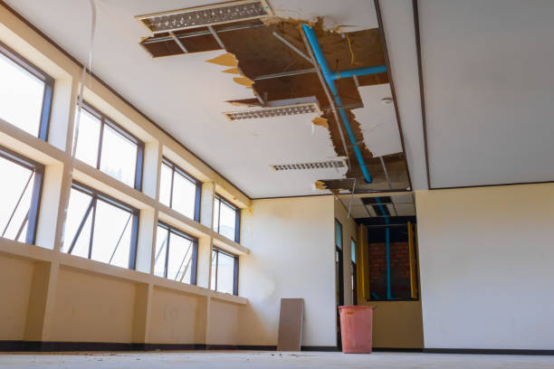 Best Water damage restoration company  in Astor, FL