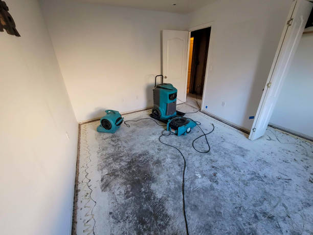 Best Water damage restoration near me  in Astor, FL