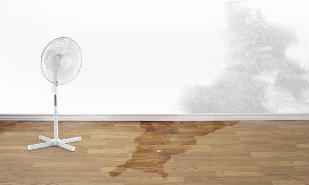  Astor, FL Water damage restoration Pros