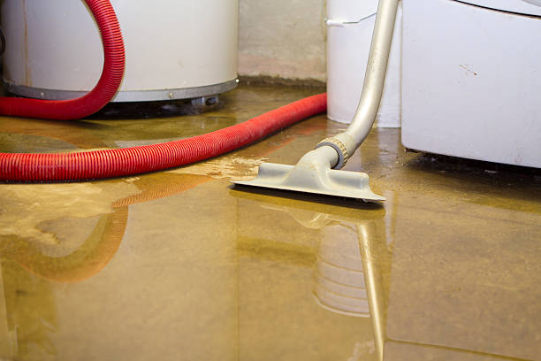 Best Sewage cleanup and water damage restoration  in Astor, FL