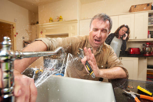 Best Ceiling water damage repair  in Astor, FL